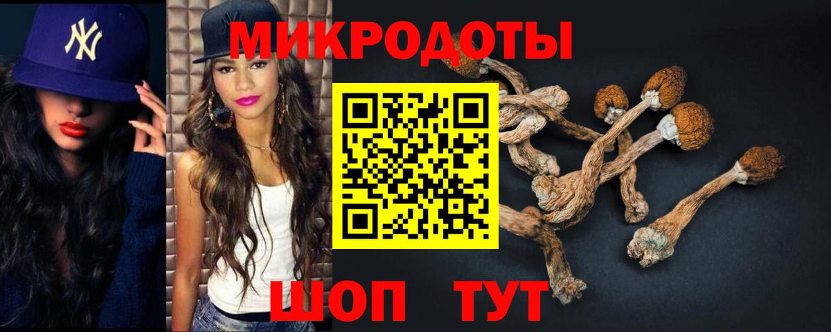 Галлюциногенные грибы мицелий  Вход с VPN  Псилоцибиновые грибы прущие грибы  Гай 