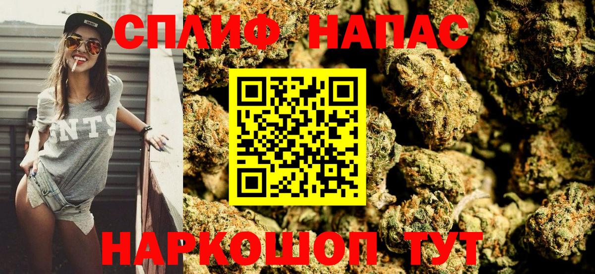 Каннабис OG Kush Гай